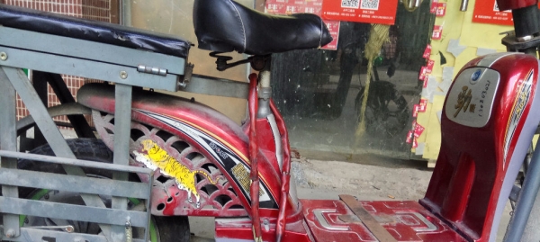 比亚文电动车